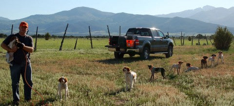 StringOfDogsTraining How to use the Chaing Gang while dog training.