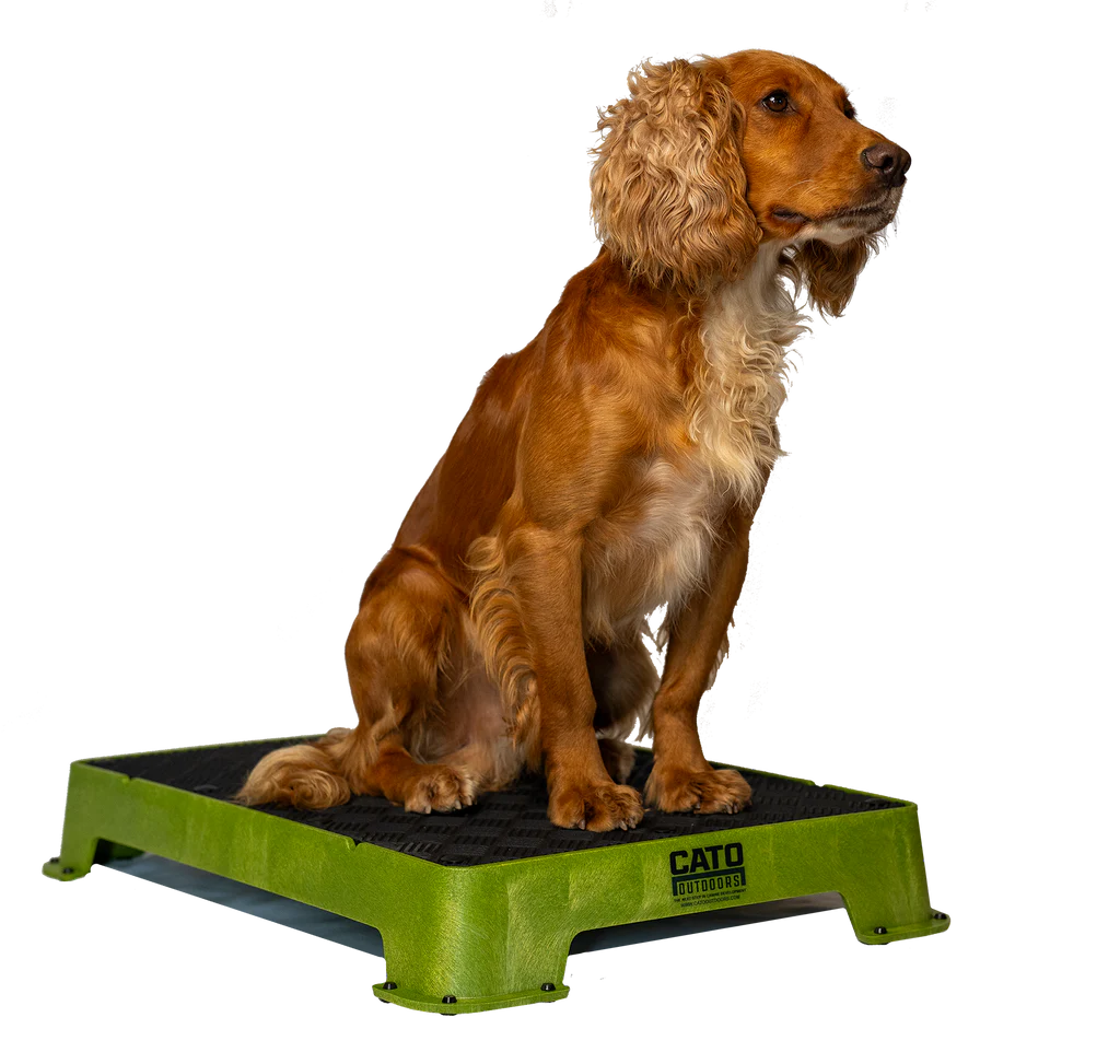 Cato Board Dog Training Platform – The Ultimate Place Board for Dogs