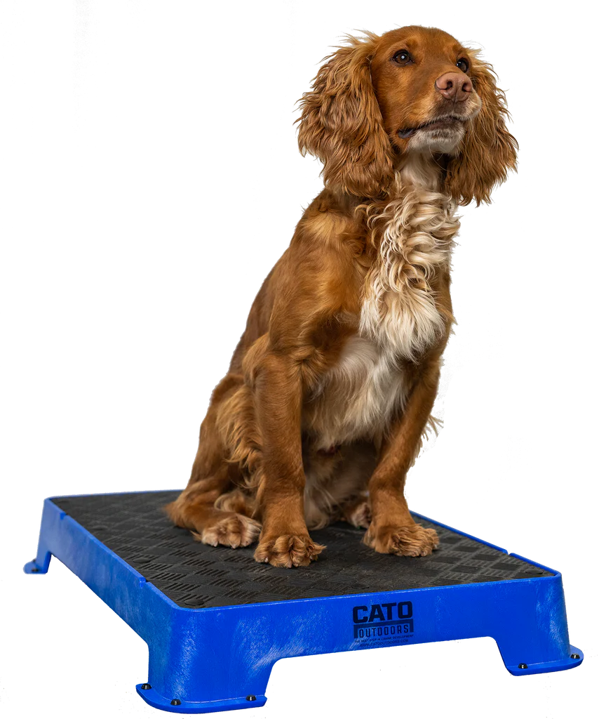 Cato Board Dog Training Platform – The Ultimate Place Board for Dogs