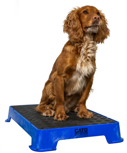 Cato Board Dog Training Platform – The Ultimate Place Board for Dogs