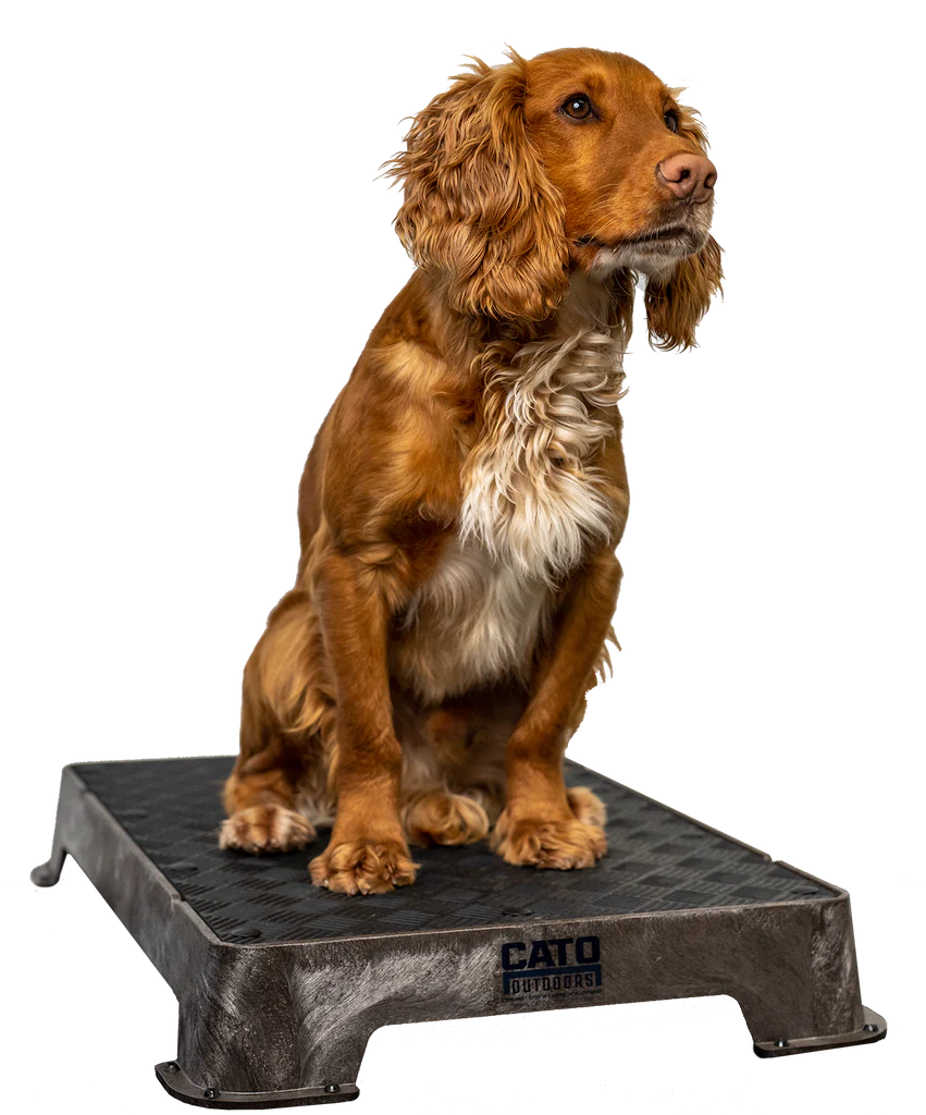 Cato Board Dog Training Platform – The Ultimate Place Board for Dogs