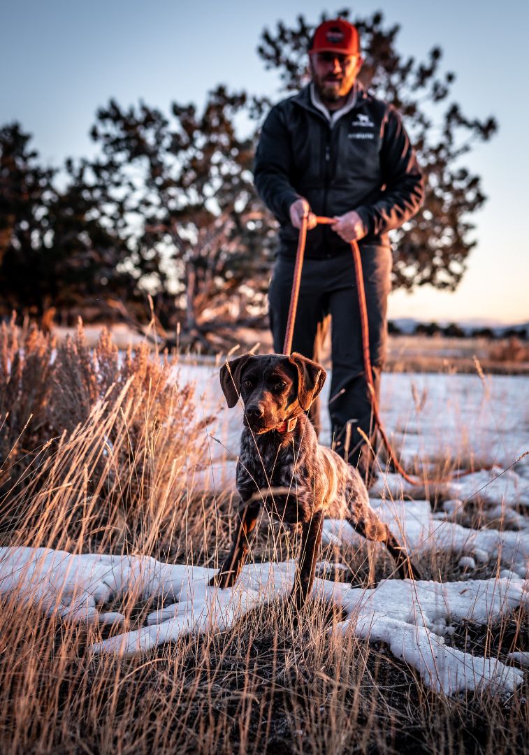 Best Gun Dogs Seminars