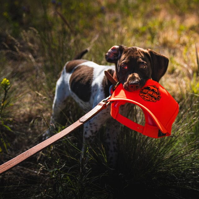 Best Gun Dogs Embroidered Water-Repellent Outdoor Hat