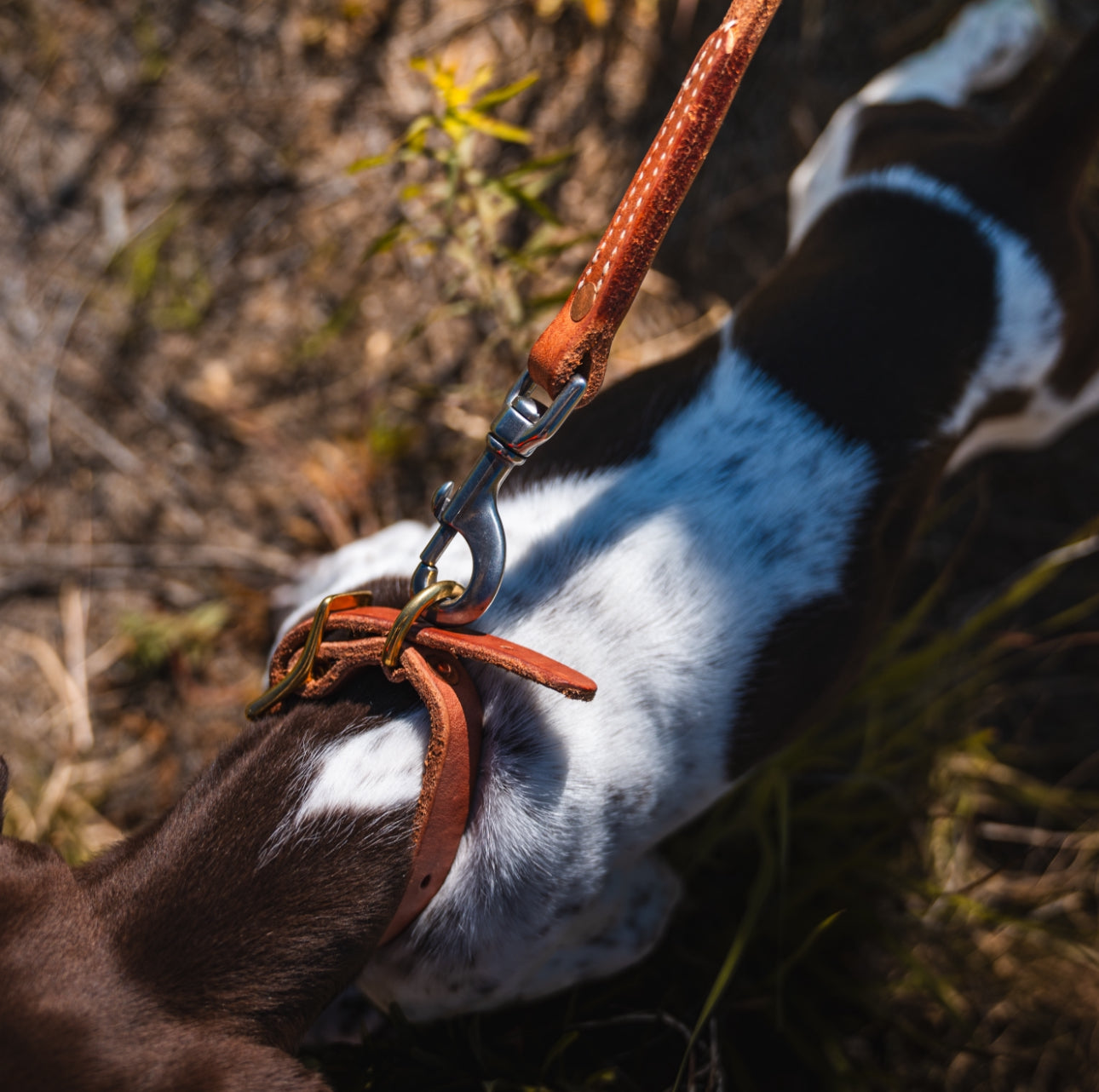 Premium Handcrafted 4' Leather Dog Leash - Durable & Stylish for Outdoor Adventures