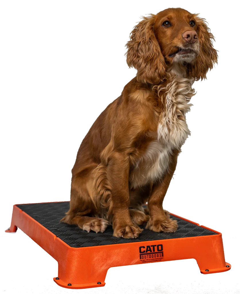 Cato Board Dog Training Platform – The Ultimate Place Board for Dogs