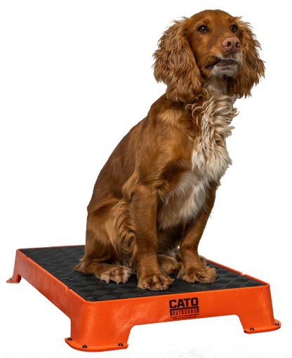 Cato Board Dog Training Platform – The Ultimate Place Board for Dogs