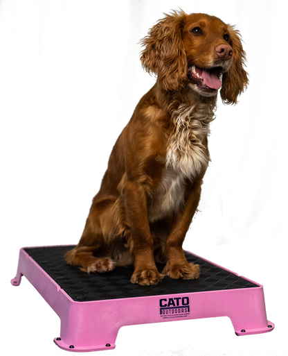 Cato Board Dog Training Platform – The Ultimate Place Board for Dogs