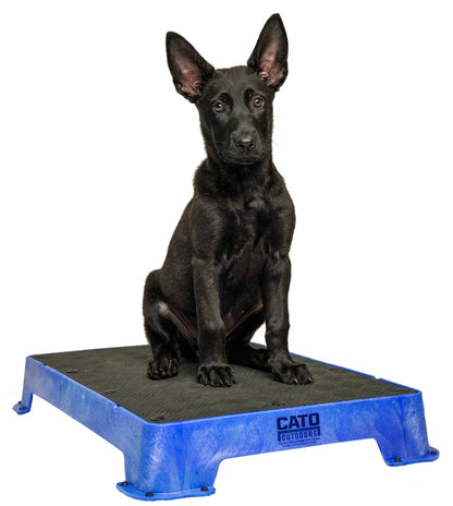 Cato Board Dog Training Platform – The Ultimate Place Board for Dogs