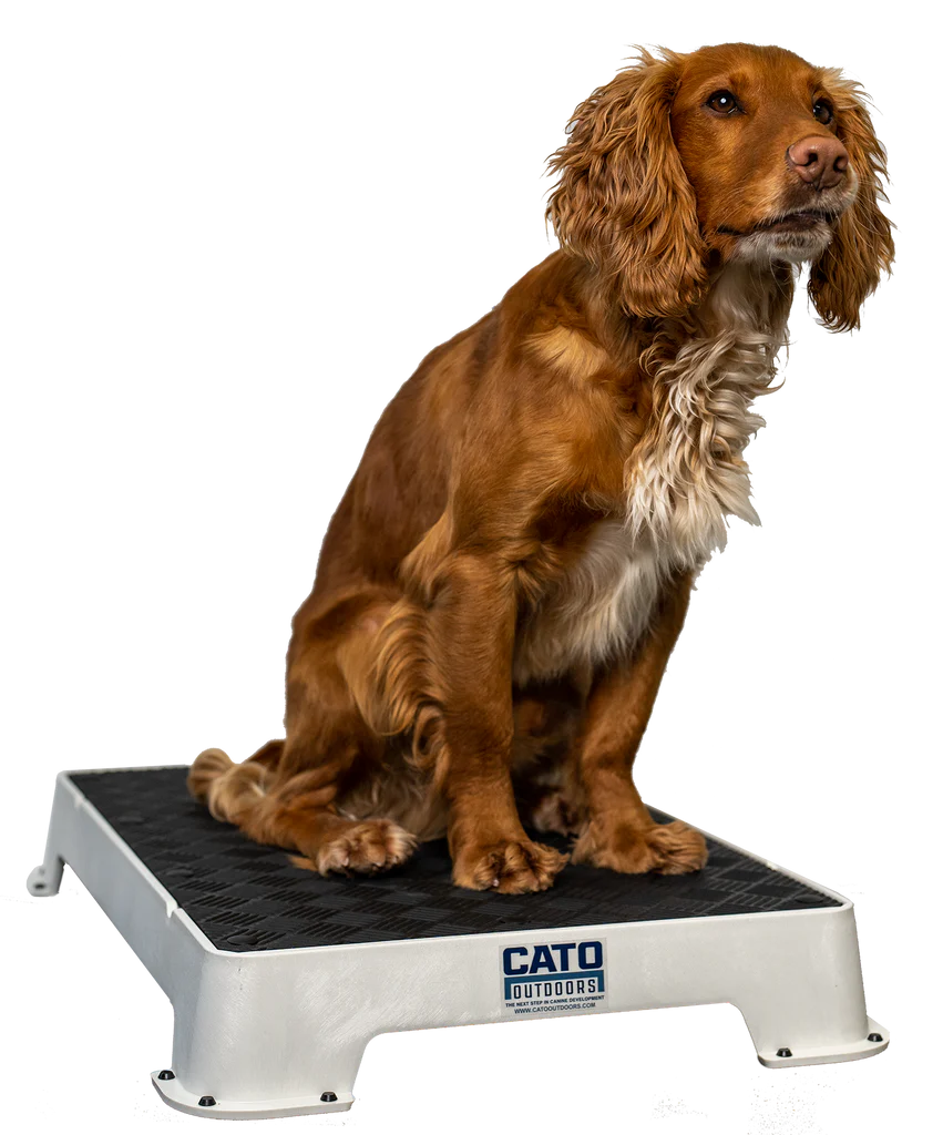 Cato Board Dog Training Platform – The Ultimate Place Board for Dogs