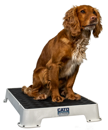 Cato Board Dog Training Platform – The Ultimate Place Board for Dogs