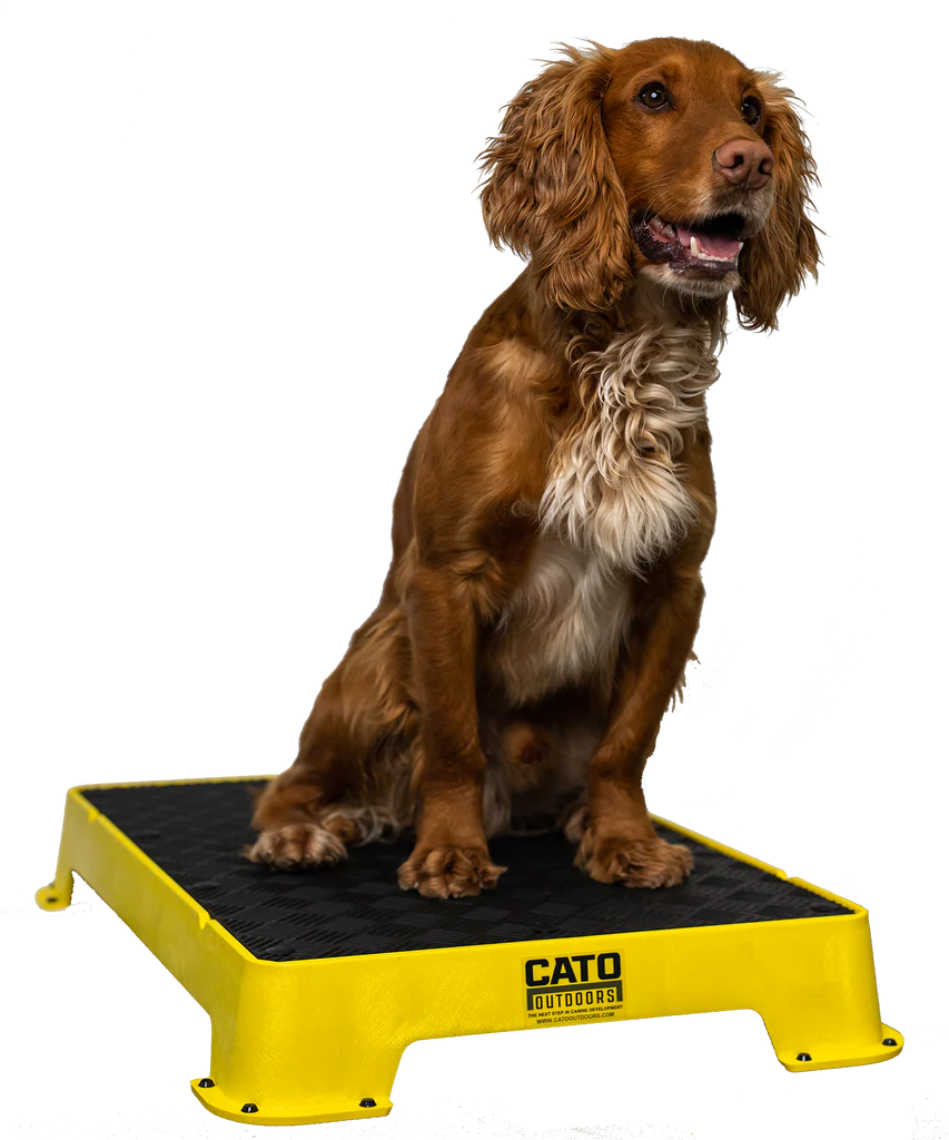 Cato Board Dog Training Platform – The Ultimate Place Board for Dogs