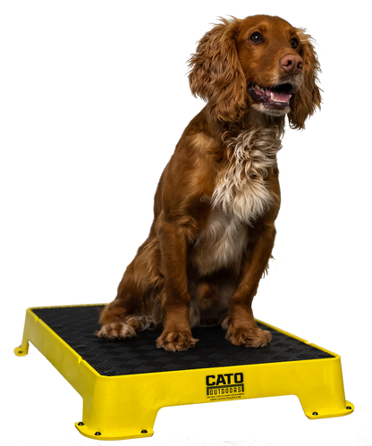 Cato Board Dog Training Platform – The Ultimate Place Board for Dogs